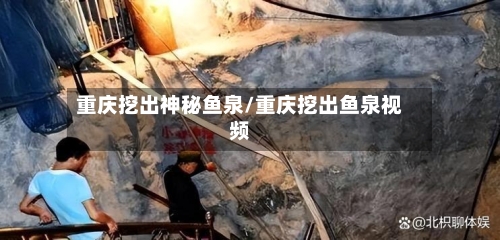 重庆挖出神秘鱼泉/重庆挖出鱼泉视频-第2张图片