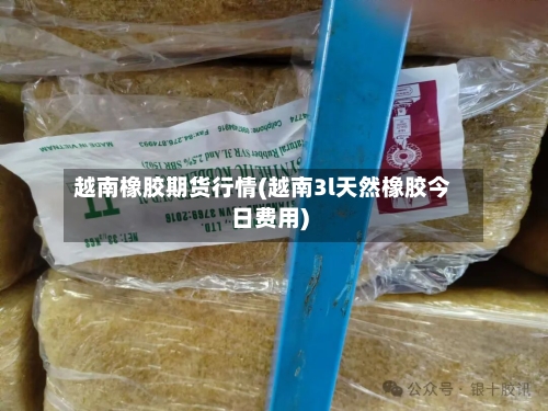 越南橡胶期货行情(越南3l天然橡胶今日费用)-第2张图片
