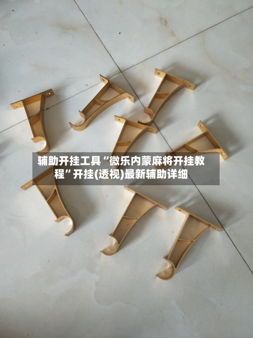 辅助开挂工具“微乐内蒙麻将开挂教程”开挂(透视)最新辅助详细