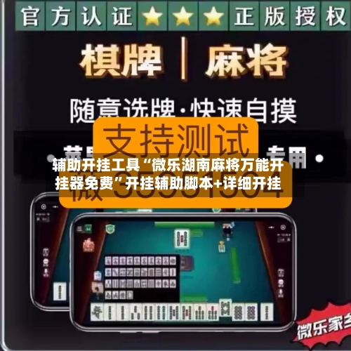 辅助开挂工具“微乐湖南麻将万能开挂器免费”开挂辅助脚本+详细开挂-第3张图片