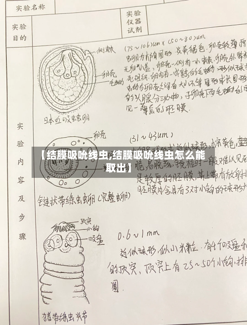 【结膜吸吮线虫,结膜吸吮线虫怎么能取出】