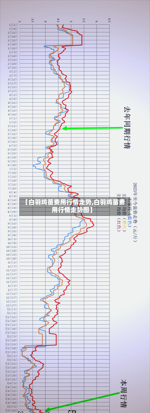 【白羽鸡苗费用行情走势,白羽鸡苗费用行情走势图】