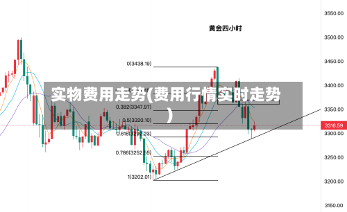 实物费用走势(费用行情实时走势)-第2张图片