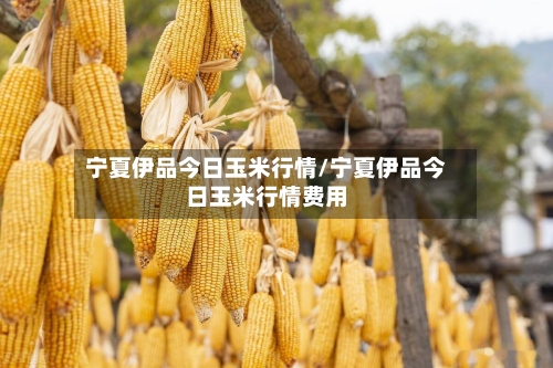 宁夏伊品今日玉米行情/宁夏伊品今日玉米行情费用