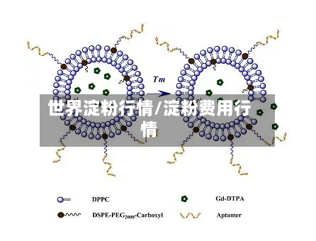世界淀粉行情/淀粉费用行情-第3张图片