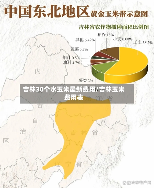 吉林30个水玉米最新费用/吉林玉米费用表