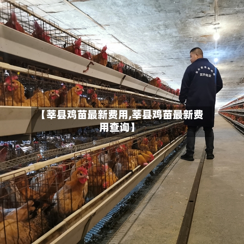 【莘县鸡苗最新费用,莘县鸡苗最新费用查询】-第3张图片