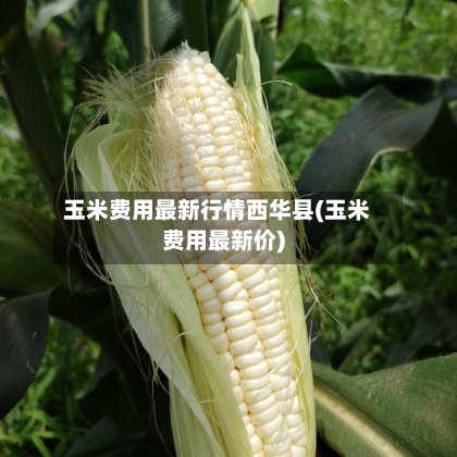 玉米费用最新行情西华县(玉米费用最新价)-第2张图片