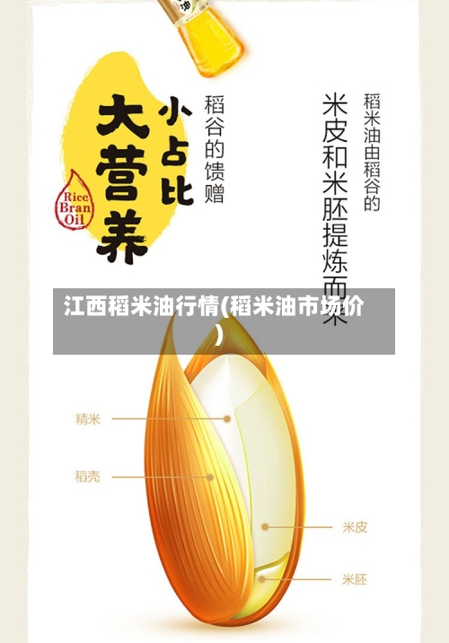 江西稻米油行情(稻米油市场价)