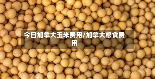 今日加拿大玉米费用/加拿大粮食费用-第2张图片