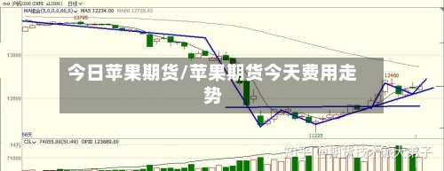 今日苹果期货/苹果期货今天费用走势-第2张图片