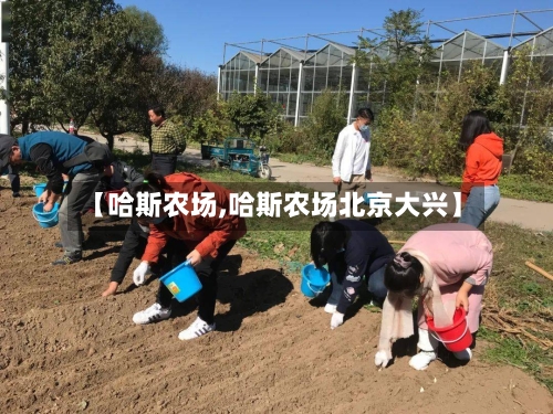 【哈斯农场,哈斯农场北京大兴】
