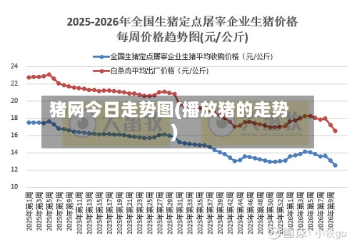 猪网今日走势图(播放猪的走势)-第2张图片