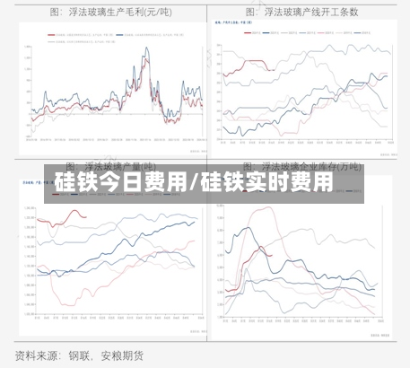 硅铁今日费用/硅铁实时费用