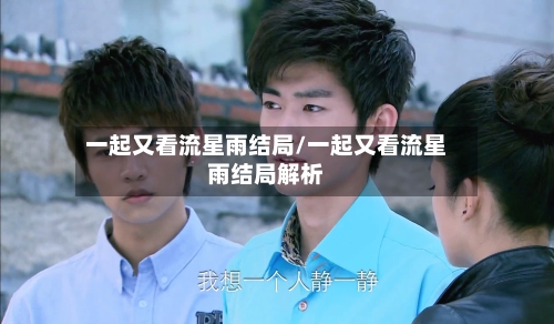 一起又看流星雨结局/一起又看流星雨结局解析-第2张图片