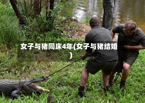 女子与猪同床4年(女子与猪结婚)-第3张图片