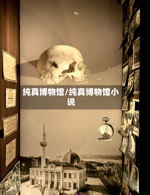 纯真博物馆/纯真博物馆小说