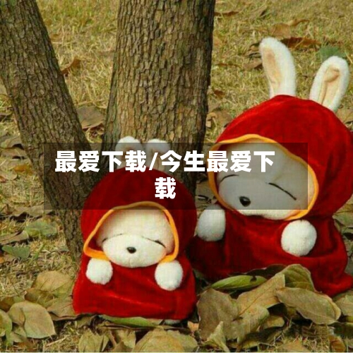 最爱下载/今生最爱下载
