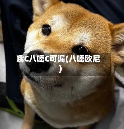 哦C八嘎C可漏(八嘎欧尼)