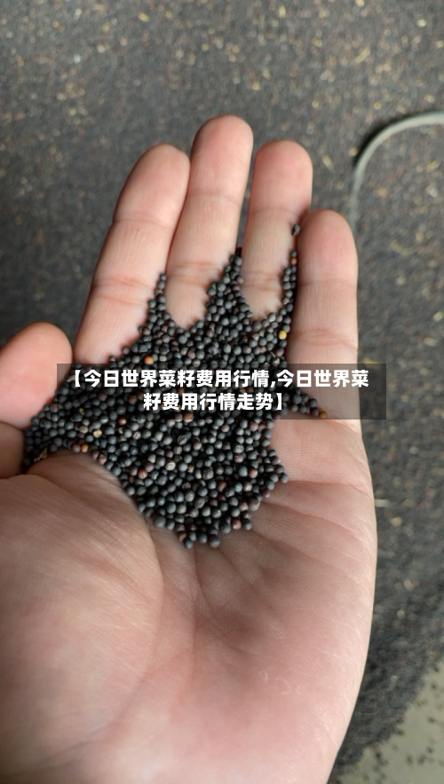 【今日世界菜籽费用行情,今日世界菜籽费用行情走势】-第2张图片
