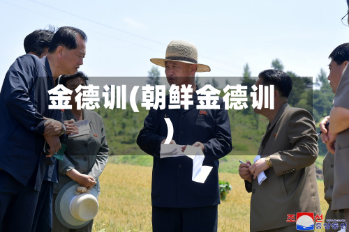 金德训(朝鲜金德训)