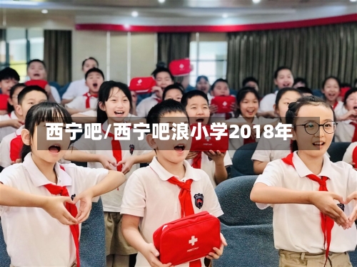 西宁吧/西宁吧浪小学2018年