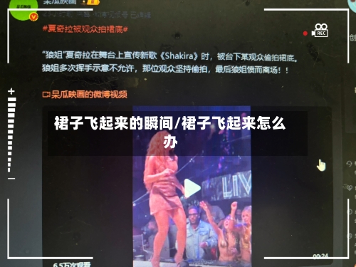 裙子飞起来的瞬间/裙子飞起来怎么办