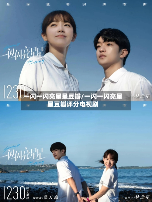 一闪一闪亮星星豆瓣/一闪一闪亮星星豆瓣评分电视剧-第2张图片