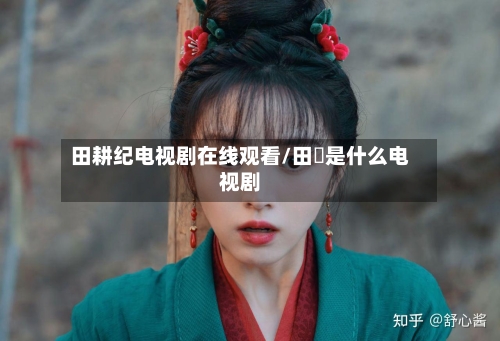 田耕纪电视剧在线观看/田湉是什么电视剧