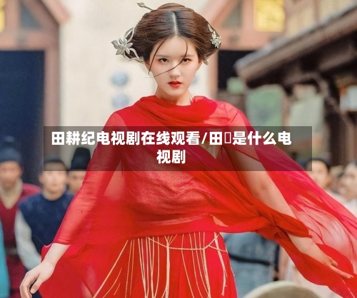 田耕纪电视剧在线观看/田湉是什么电视剧-第2张图片