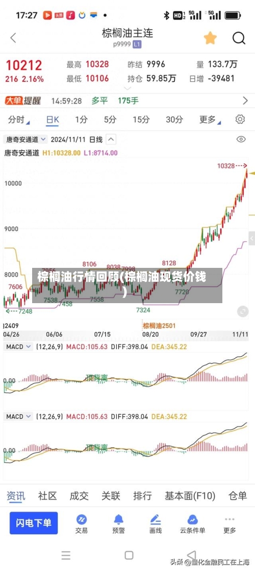 棕榈油行情回顾(棕榈油现货价钱)-第2张图片