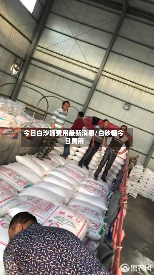 今日白沙糖费用最新消息/白砂糖今日费用