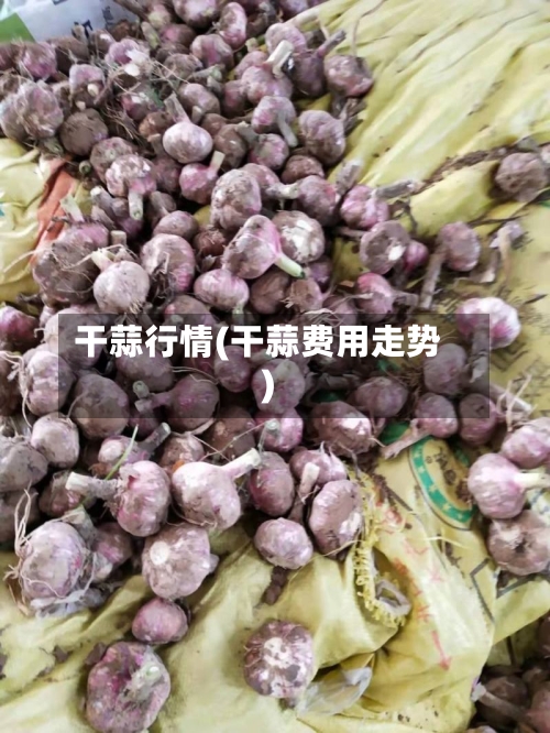 干蒜行情(干蒜费用走势)