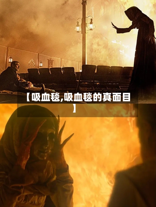 【吸血毯,吸血毯的真面目】-第2张图片