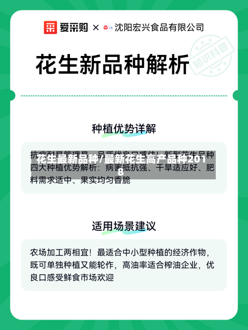 花生最新品种/最新花生高产品种2018-第2张图片