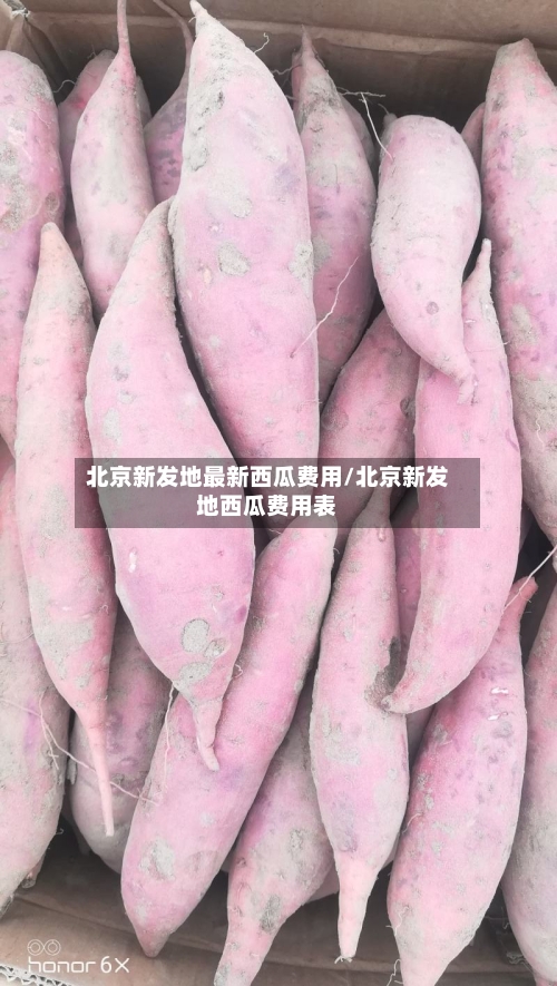 北京新发地最新西瓜费用/北京新发地西瓜费用表-第3张图片