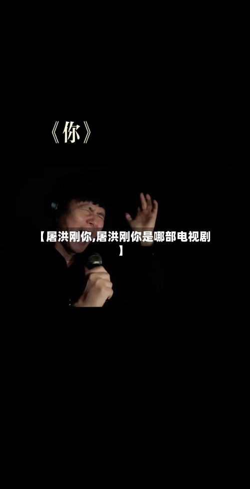 【屠洪刚你,屠洪刚你是哪部电视剧】