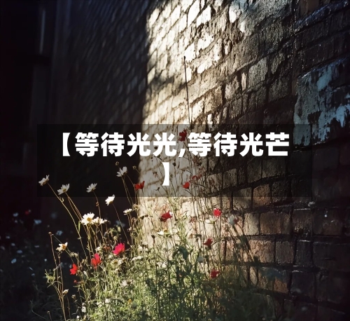 【等待光光,等待光芒】-第2张图片