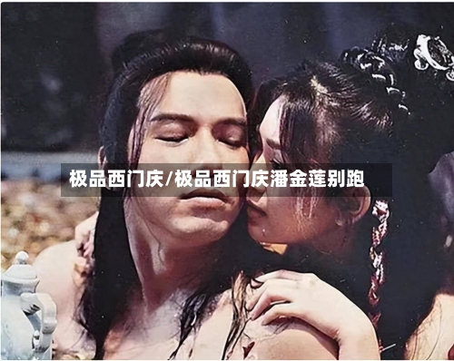 极品西门庆/极品西门庆潘金莲别跑-第2张图片