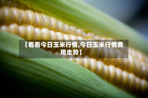 【看看今日玉米行情,今日玉米行情费用走势】