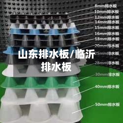 山东排水板/临沂排水板