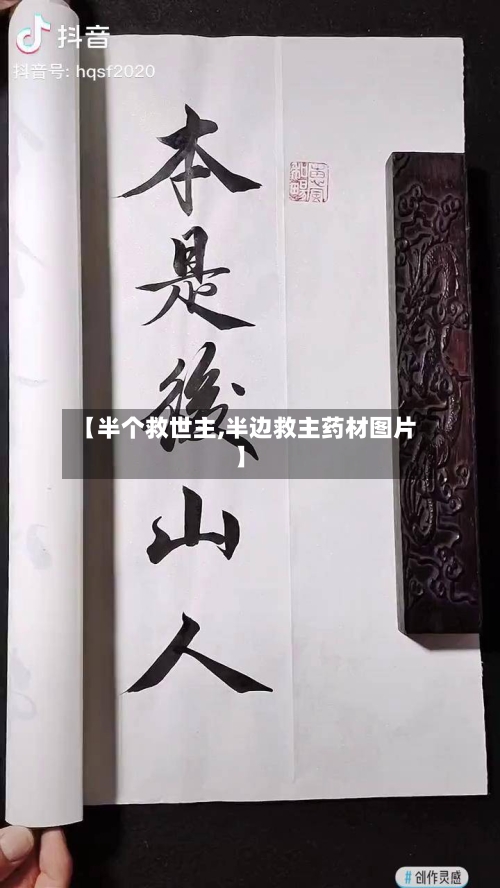 【半个救世主,半边救主药材图片】-第2张图片