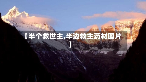 【半个救世主,半边救主药材图片】-第3张图片