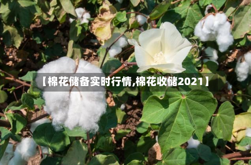 【棉花储备实时行情,棉花收储2021】
