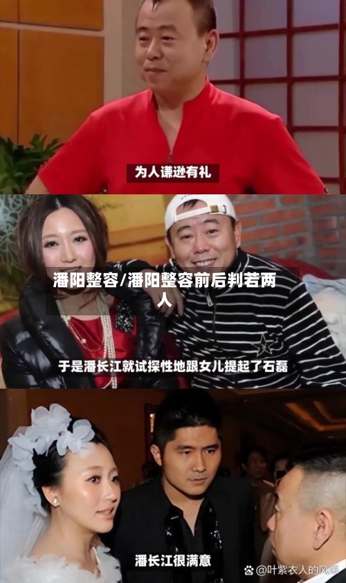 潘阳整容/潘阳整容前后判若两人