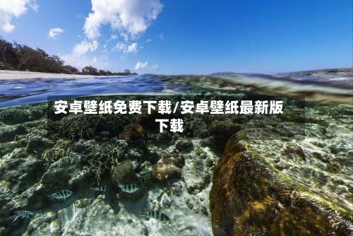 安卓壁纸免费下载/安卓壁纸最新版下载