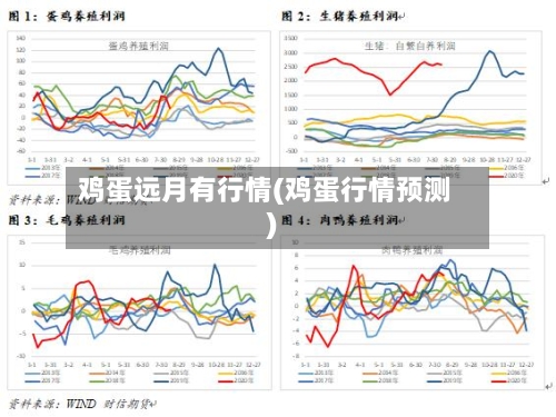鸡蛋远月有行情(鸡蛋行情预测)