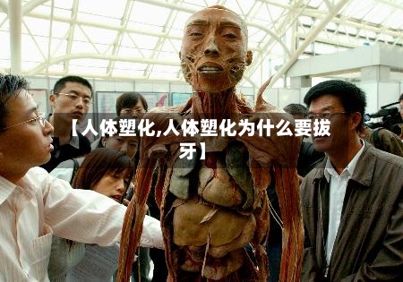 【人体塑化,人体塑化为什么要拔牙】