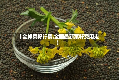 【全球菜籽行情,全国最新菜籽费用走】-第2张图片