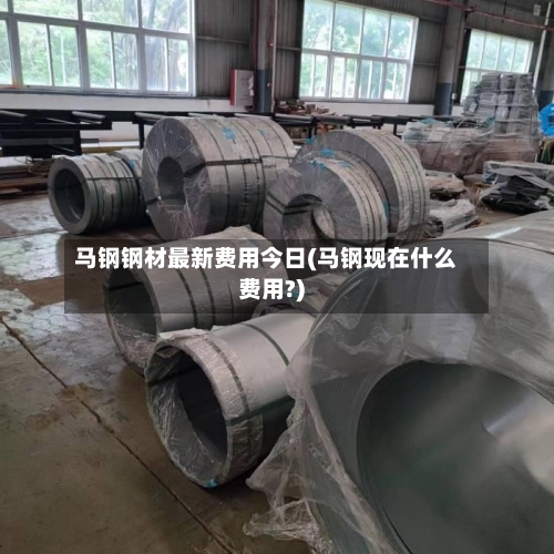 马钢钢材最新费用今日(马钢现在什么费用?)